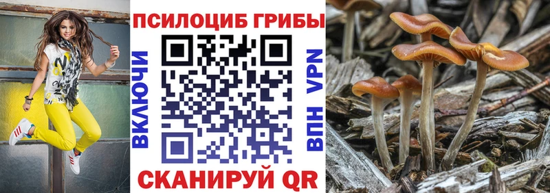 Галлюциногенные грибы Psilocybine cubensis  сколько стоит  Медногорск 